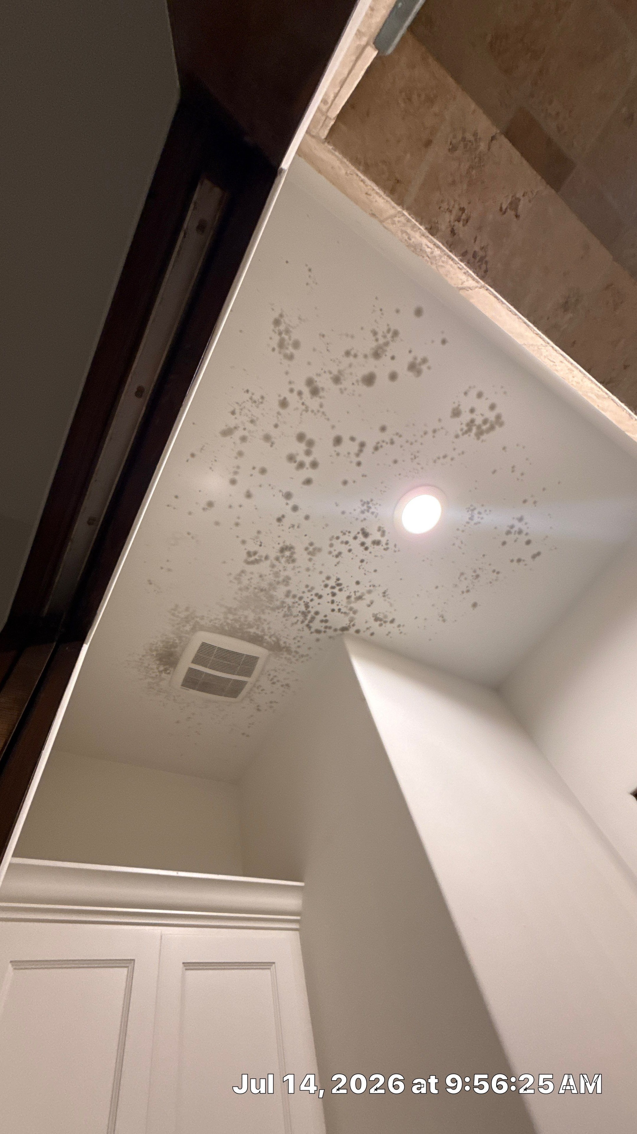 Mold remediation project — before and after