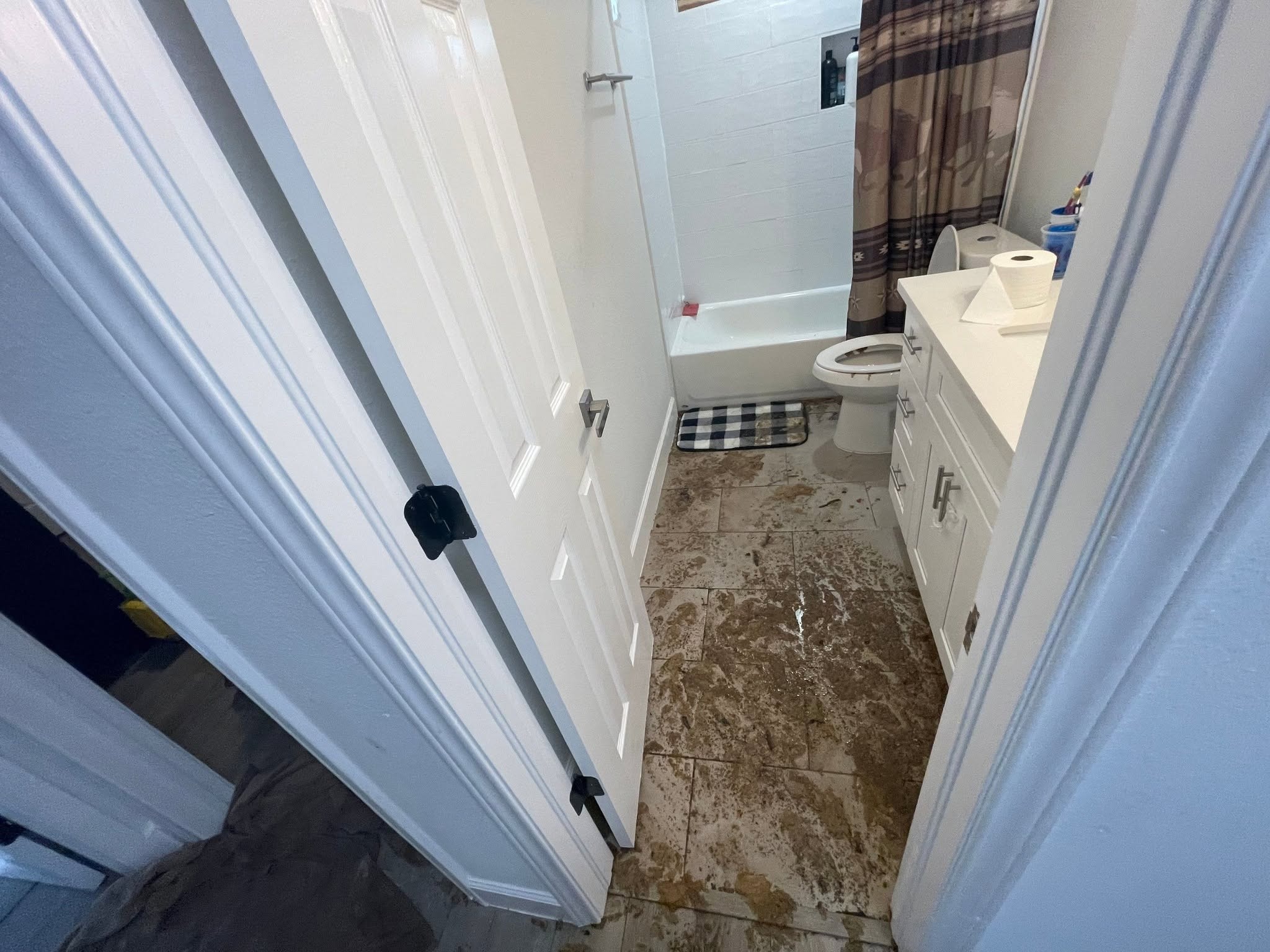 Sewage cleanup and restoration project