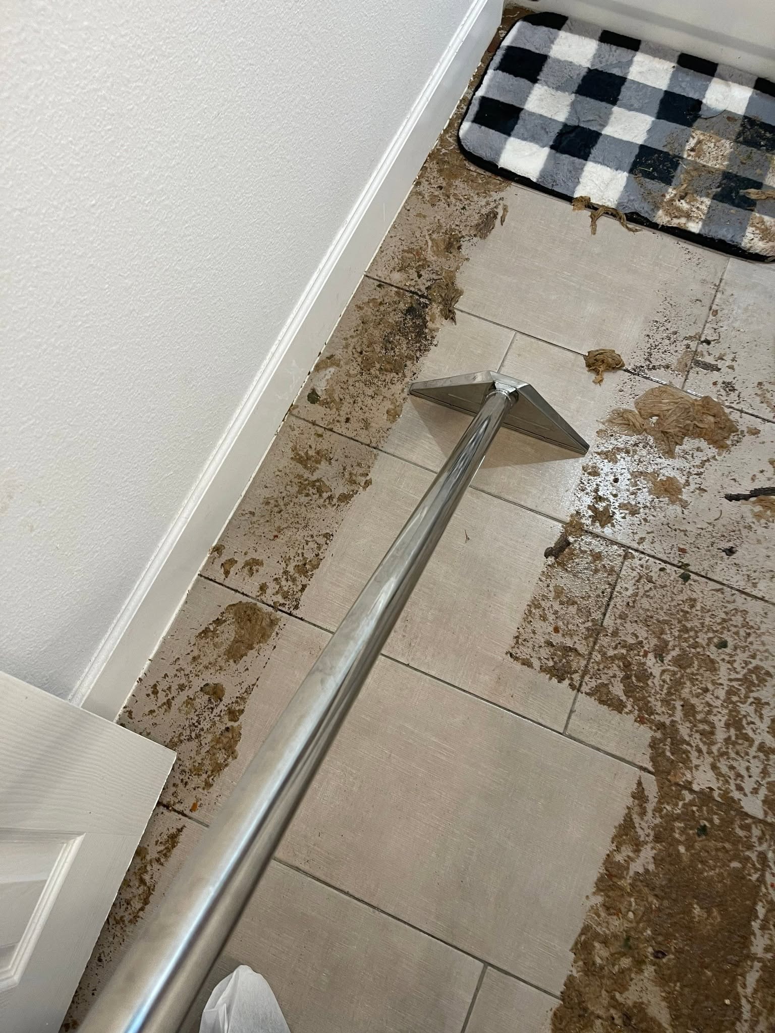 Sewage cleanup and restoration project