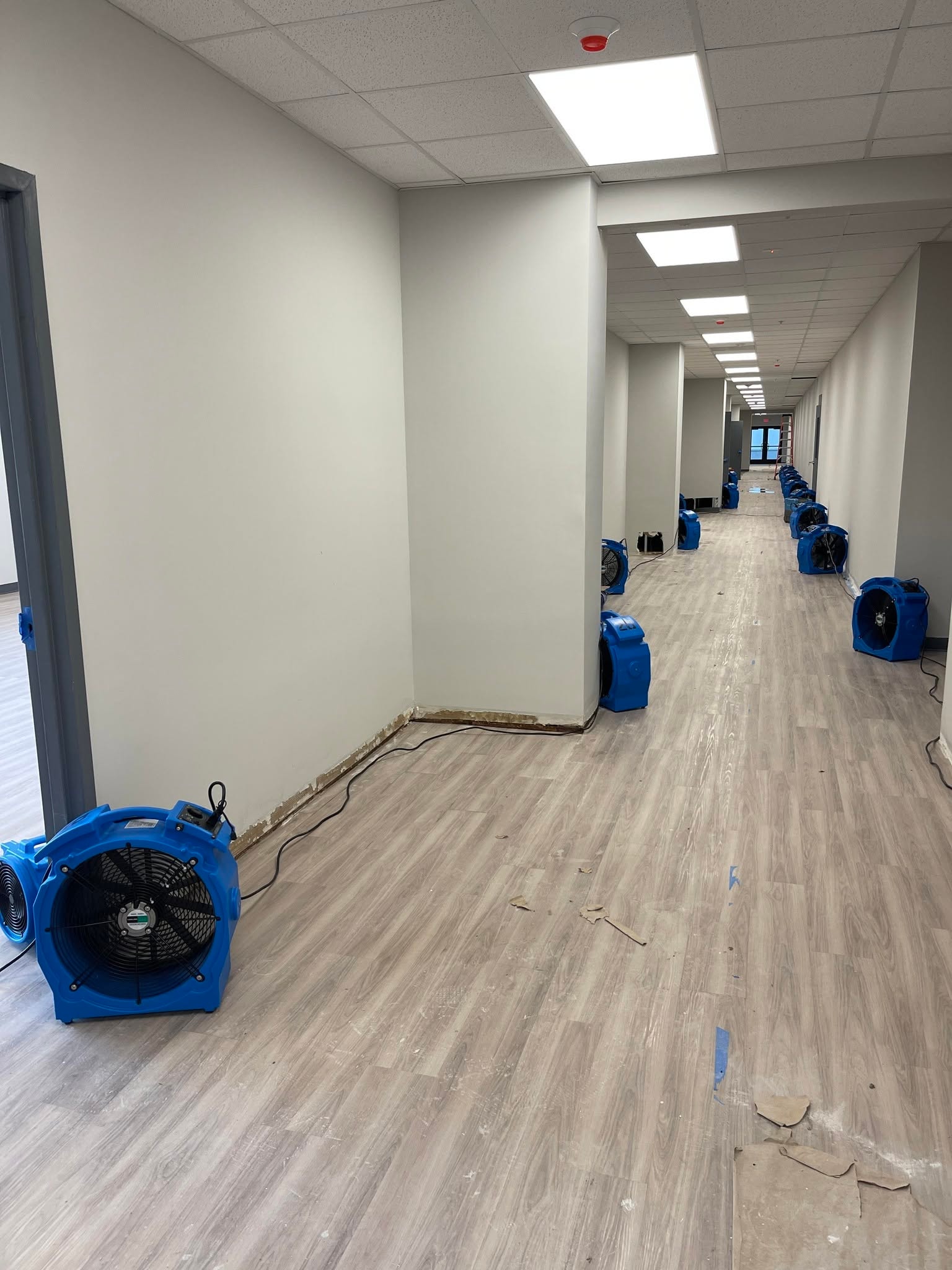 Water damage restoration project — before and after